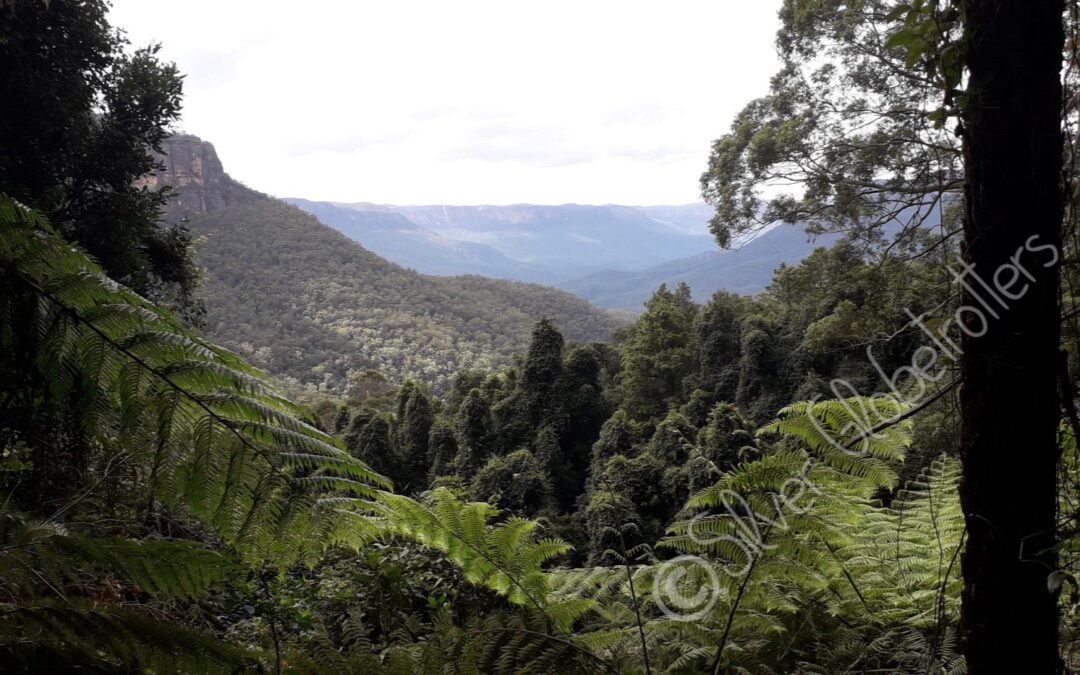 Day Trip to The Blue Mountains