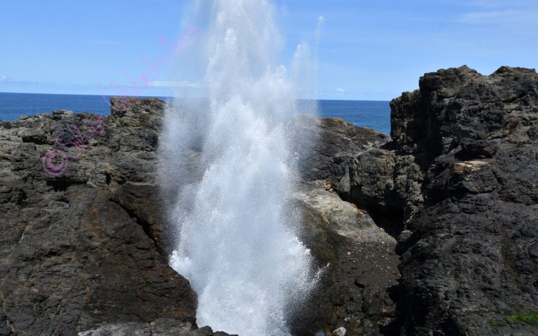 On The Road Again – Kiama Blowholes NSW